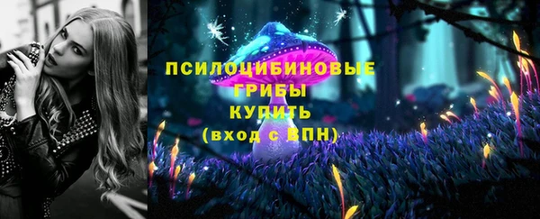ALPHA-PVP Алексин