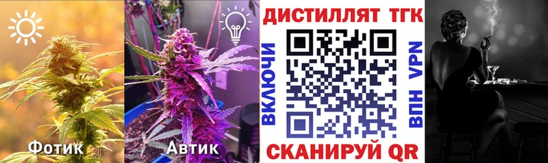 дарнет шоп  Ртищево  Дистиллят ТГК вейп с тгк 