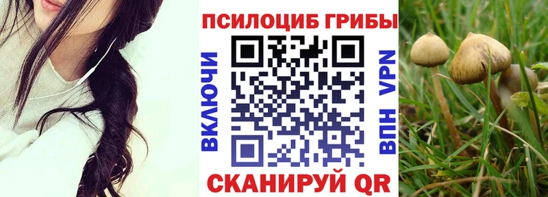 Галлюциногенные грибы MAGIC MUSHROOMS  Ртищево 
